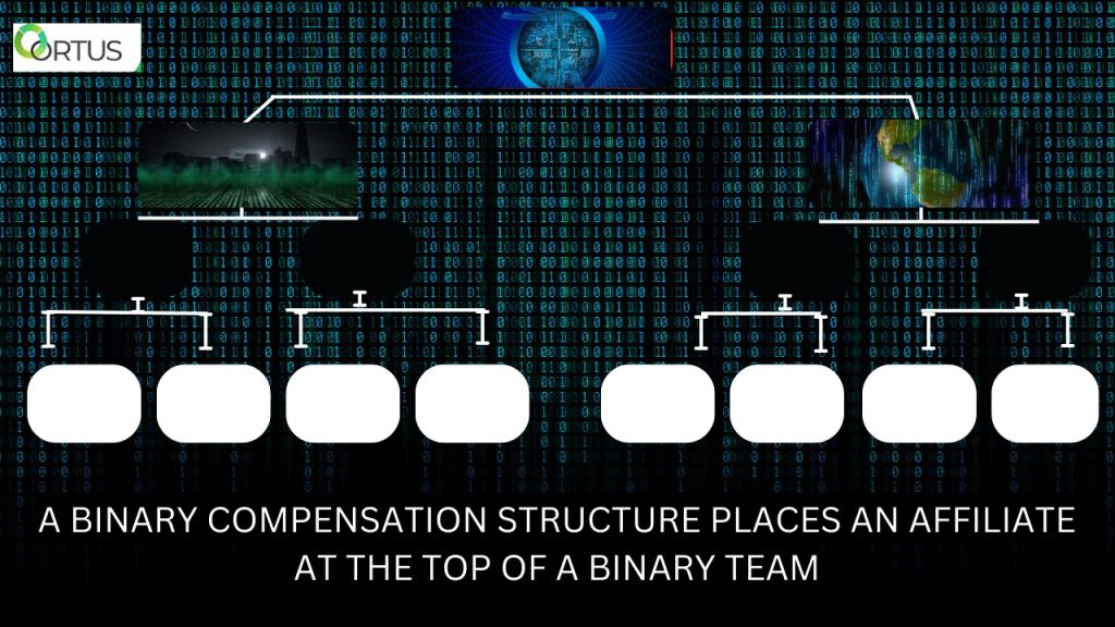 A binary compensation structure places an affiliate at the top of a binary team, split into two sides.